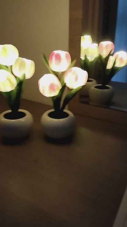 LED Tulip Night Light - Romantic Flower Lamp for Home & Office Decor